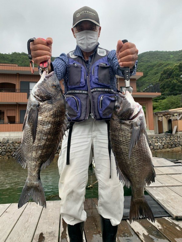 チヌ51cm 2匹 の釣果 年6月26日 まるよし渡船 三重 南伊勢 釣割