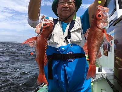 カサゴ24cm 53匹 の釣果 年6月26日 新修丸 神奈川 釣割