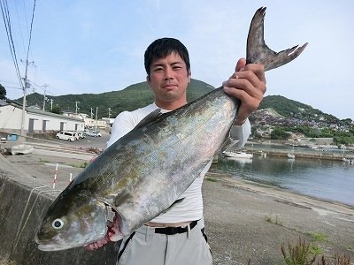 カンパチ70cm 1匹 の釣果 年6月29日 上野渡船 和歌山 大引港 釣割 カンパチ70cm 1匹 の釣果 年6月29日 上野渡船 和歌山 大引港 釣割