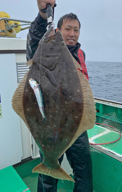 ヒラメ62cm 5匹 の釣果 年7月4日 えびす屋 宮城 塩釜港 釣割