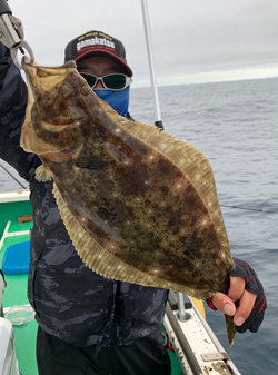 ヒラメ60cm 5匹 の釣果 年7月5日 えびす屋 宮城 塩釜港 釣割