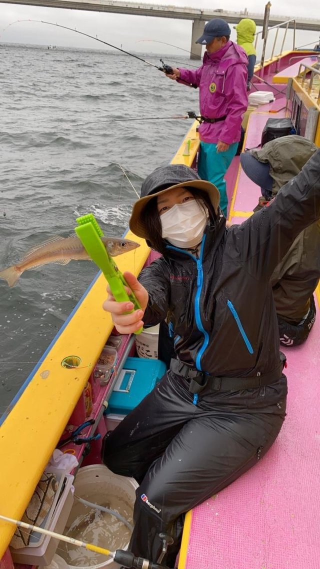 シロギス22cm 49匹 の釣果 年7月18日 つり幸 神奈川 釣割