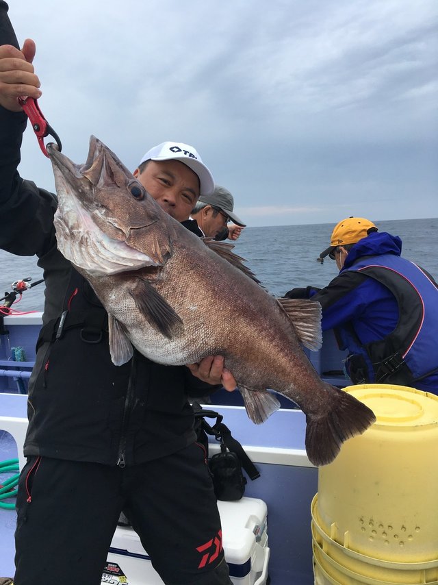 アラ15 50kg 1匹 の釣果 年7月19日 日立丸 茨城 日立港第五埠頭内 釣割