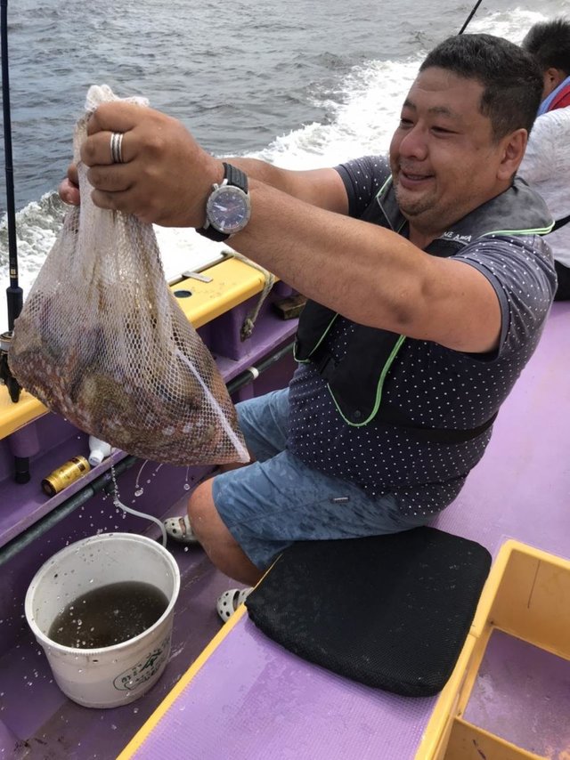 マダコ1 50kg 13匹 の釣果 年8月1日 つり幸 神奈川 釣割