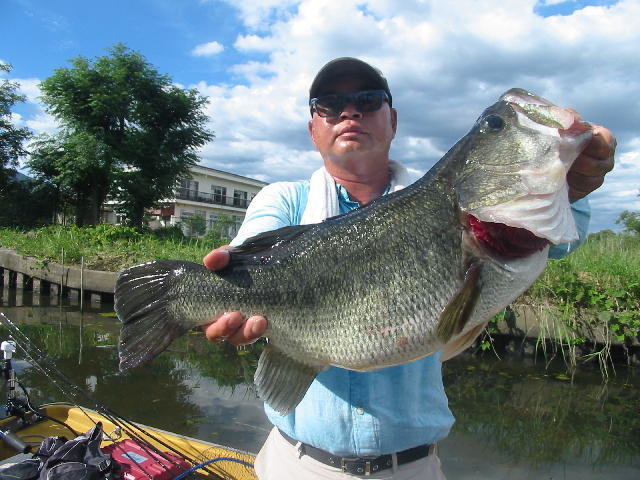 ブラックバス56cm！1匹！の釣果｜2020年8月10日｜ひさの屋（滋賀/）｜釣割