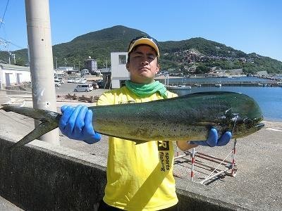 シイラ81cm 16匹 の釣果 年8月16日 上野渡船 Bluewater 和歌山 釣割 シイラ81cm 16匹 の釣果 年8月16日 上野渡船 Bluewater 和歌山 釣割