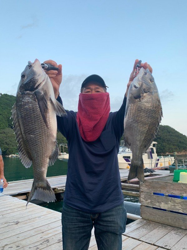 チヌ49cm 2匹 の釣果 年8月日 まるよし渡船 三重 南伊勢 釣割