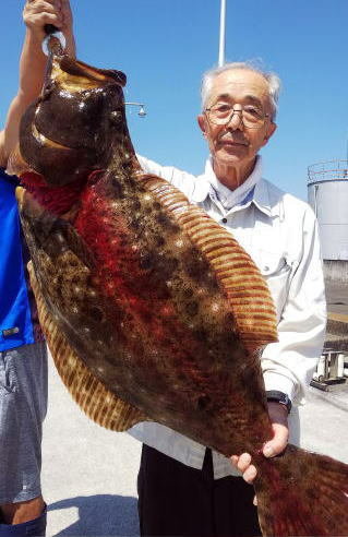 ヒラメ100cm 15匹 の釣果 年8月26日 きくしん丸 宮城 荒浜港 釣割
