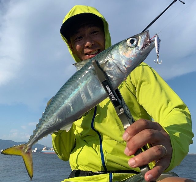 アジ の釣果 年8月27日 神戸渡船 兵庫 神戸港 釣割