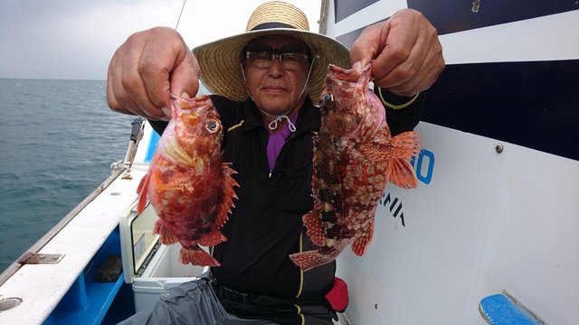 カサゴ28cm 26匹 の釣果 年9月2日 海楽園 神奈川 佐島港 釣割
