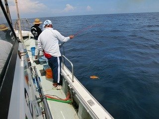 アコウ の釣果 年9月5日 海釣り大好き 鳥取 酒ノ津西波止 釣割