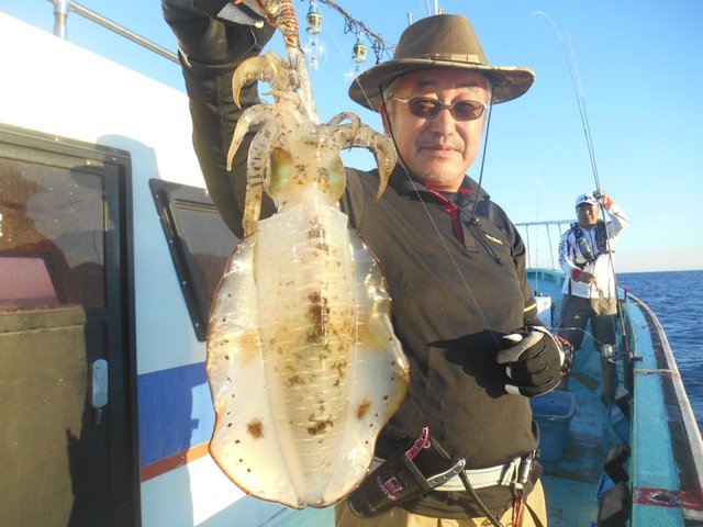 アオリイカcm 4匹 の釣果 年9月6日 ゆたか丸 新潟 寺泊港 釣り船予約 釣割 アオリイカcm 4匹 の釣果 年9月6日 ゆたか丸 新潟 寺泊港 釣り船予約 釣割