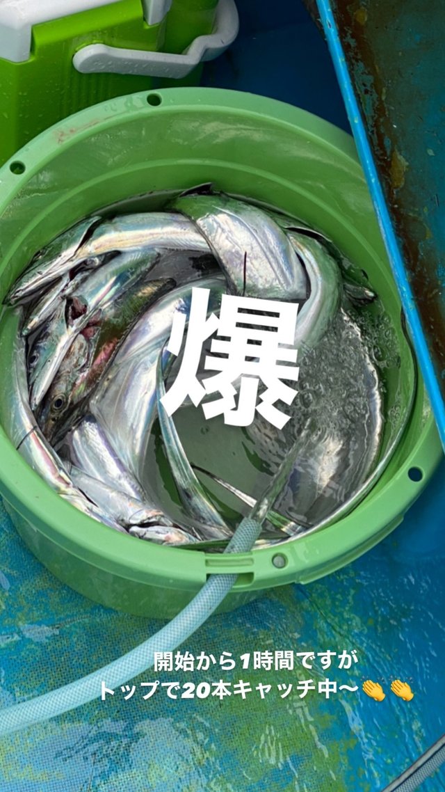 タチウオ108cm 30匹 の釣果 年9月17日 信照丸 千葉 勝浦松部港 釣り船予約 釣割