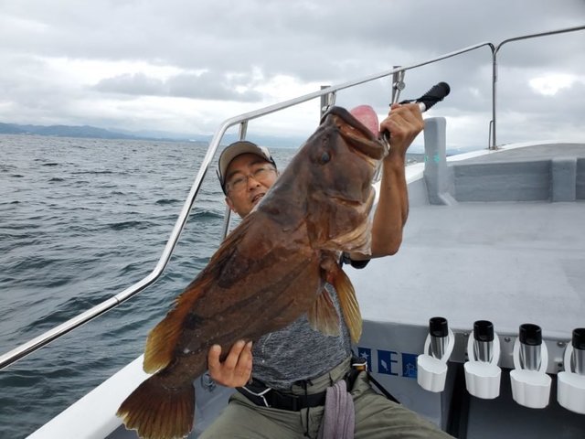 ホウキハタ80cm の釣果 年9月17日 ブルーピア 和歌山 内の浦港 釣り船予約 釣割