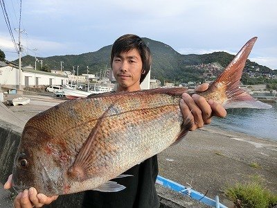 イサギ39cm 19匹 の釣果 年10月3日 上野渡船 和歌山 大引港 釣割 イサギ39cm 19匹 の釣果 年10月3日 上野渡船 和歌山 大引港 釣割