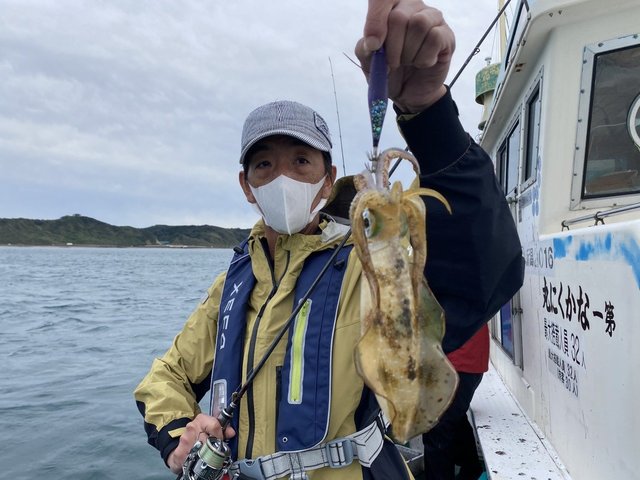 アオリイカ23cm 11匹 の釣果 年10月9日 なかくに丸 新潟 釣割 アオリイカ23cm 11匹 の釣果 年10月9日 なかくに丸 新潟 釣割