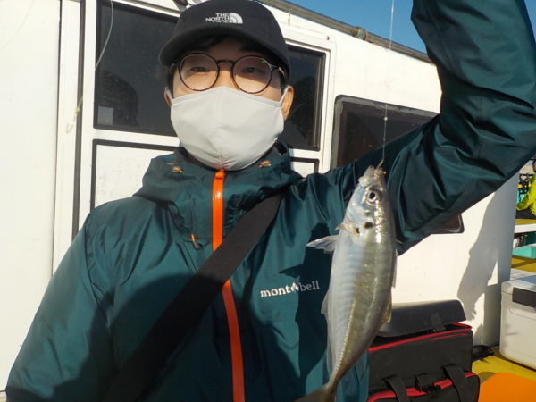 アジ30cm 32匹 の釣果 年10月21日 打木屋釣船店 神奈川 横浜新山下港 釣り船予約 釣割