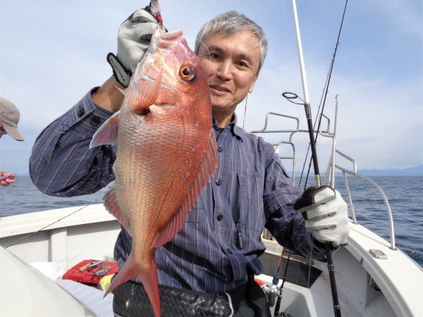 アオリイカ の釣果 年10月22日 鯛紅丸 新潟 新潟東港 釣割 アオリイカ の釣果 年10月22日 鯛紅丸 新潟 新潟東港 釣割