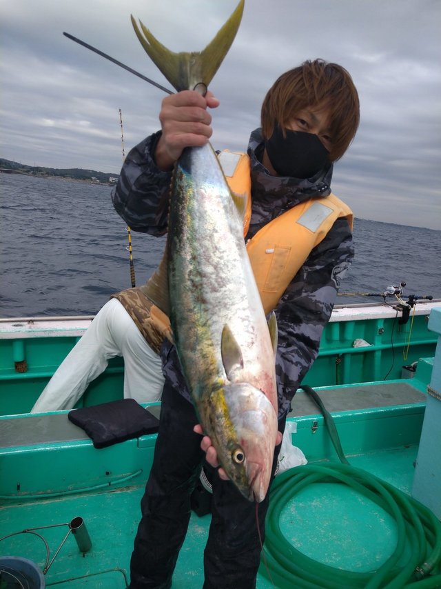 ブリ の釣果 年11月12日 ちがさき丸 神奈川 茅ヶ崎港 釣割
