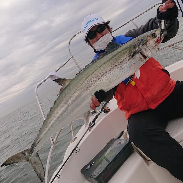 シーバス80cm！！の釣果｜2020年11月12日｜SEXY FISH（釣日和