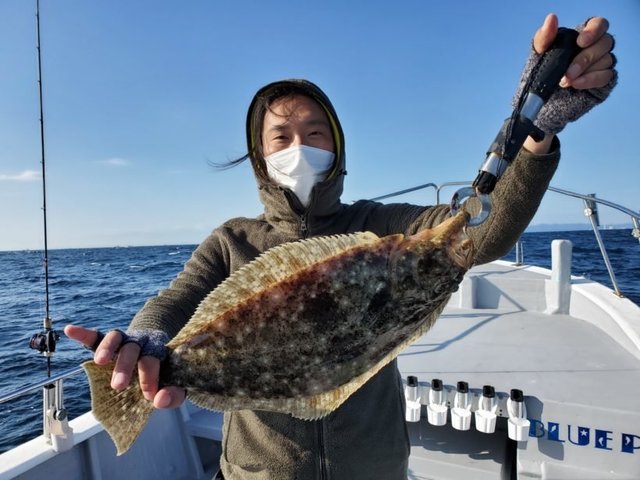 ヒラメ の釣果 年11月26日 ブルーピア 和歌山 内の浦港 船釣り予約 キャスティング船釣り予約