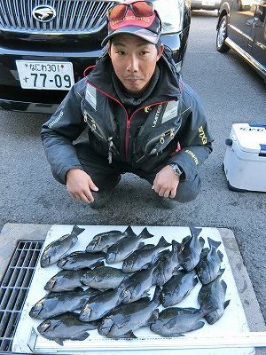 グレ34cm 18匹 の釣果 年12月2日 上野渡船 和歌山 大引港 釣割 グレ34cm 18匹 の釣果 年12月2日 上野渡船 和歌山 大引港 釣割