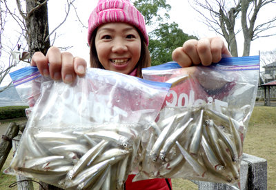 ワカサギ 150匹 の釣果 年12月12日 高滝湖観光 企業組合 千葉 高滝湖 釣割