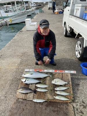 メジロ68cm の釣果 年12月日 谷野丸 和歌山 南塩屋漁港 釣割