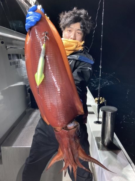 タルイカ の釣果 年12月21日 泰丸 福井 色浜港 釣り船予約 釣割