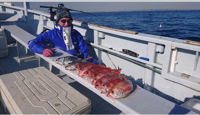 アカムツ45cm 8匹 の釣果 年12月22日 かねい丸 神奈川 釣割