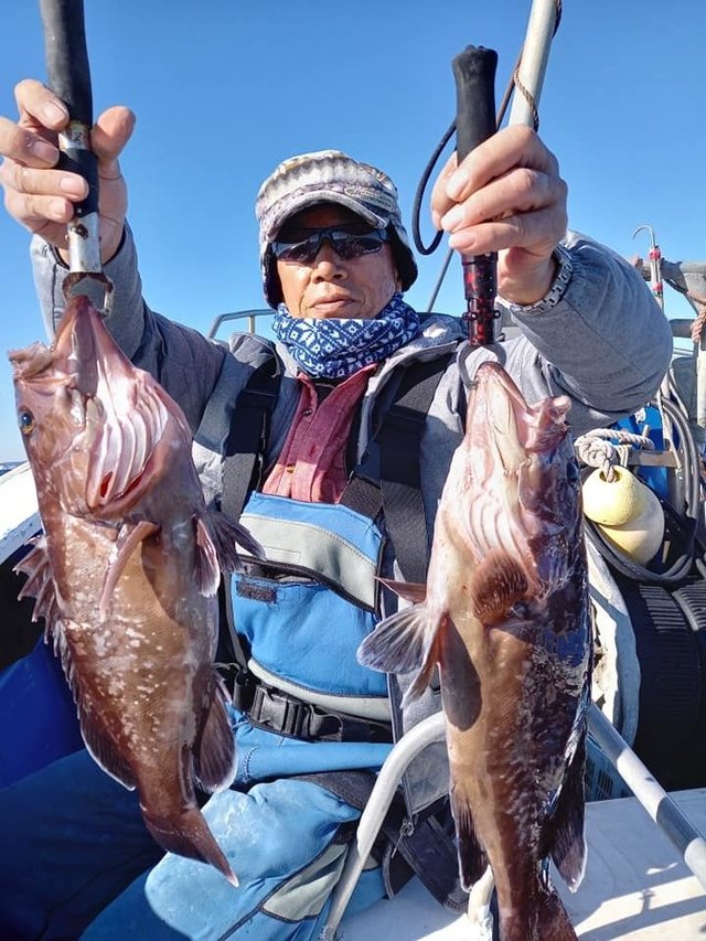 マハタ1 80kg 7匹 の釣果 年12月23日 隆光丸 千葉 大原漁港 釣割