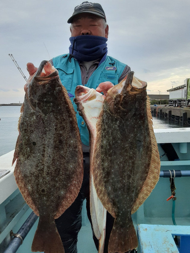 ヒラメ3 50kg 5匹 の釣果 年12月24日 勝晃丸 千葉 大原港 釣り船予約 釣割