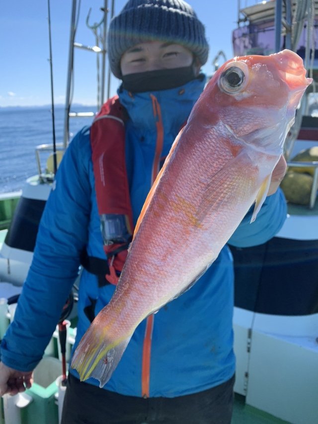アマダイ0 80kg 5匹 の釣果 21年1月10日 神栄丸 静岡 釣割