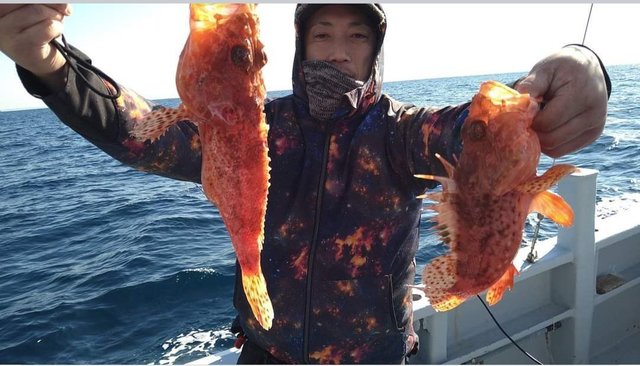 オニカサゴ1 kg 7匹 の釣果 21年1月日 かねい丸 神奈川 長井漆山港 釣り船予約 釣割