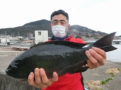 グレ48cm 1匹 の釣果 21年1月26日 上野渡船 和歌山 大引港 釣割 グレ48cm 1匹 の釣果 21年1月26日 上野渡船 和歌山 大引港 釣割