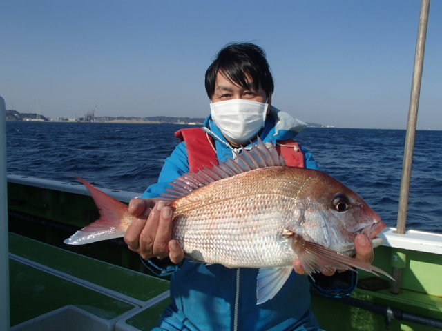 マダイ1 80kg 5匹 の釣果 21年2月7日 浜福丸 神奈川 釣割