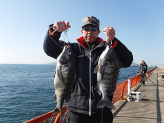 メバル28cm 1匹 の釣果 21年2月10日 神戸市立平磯海づり公園 兵庫 平磯 釣割