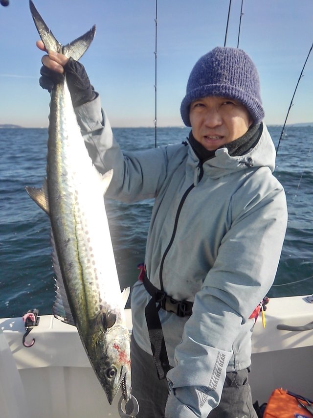 サワラ サワラ80cm！26匹！の釣果｜2021年2月10日｜Sea Frog（東京/網平