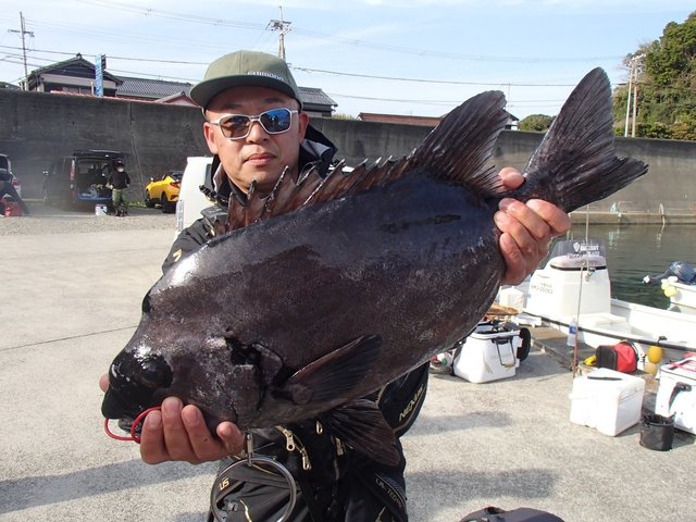 イシダイ1匹 イシダイ64cm！1匹！の釣果｜2021年2月11日｜小川渡船（和歌山/出雲港