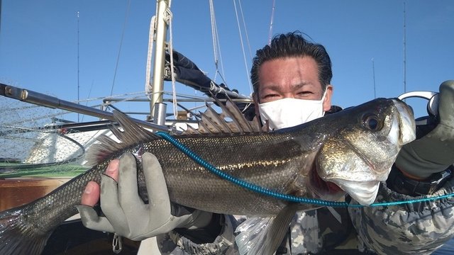 シーバス67cm 28匹 の釣果 21年2月28日 渡辺釣船店 神奈川 横浜港 釣割