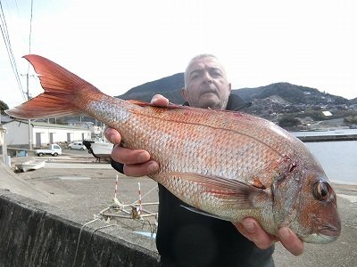 マダイ56cm 1匹 の釣果 21年3月9日 上野渡船 和歌山 大引港 釣割 マダイ56cm 1匹 の釣果 21年3月9日 上野渡船 和歌山 大引港 釣割