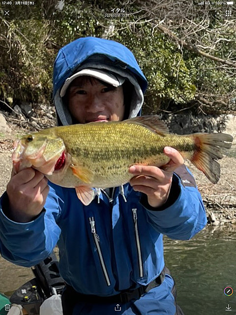 ブラックバス45cm 1匹 の釣果 21年3月11日 柴田 神奈川 相模湖 釣割
