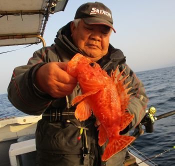 オコゼ の釣果 21年3月18日 浜田釣舟 高知 安芸漁港 釣割