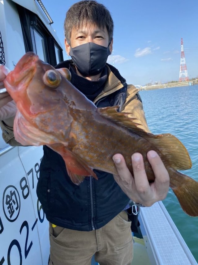 アコウ の釣果 21年3月25日 Little One 福岡 三池港 釣り船予約 釣割