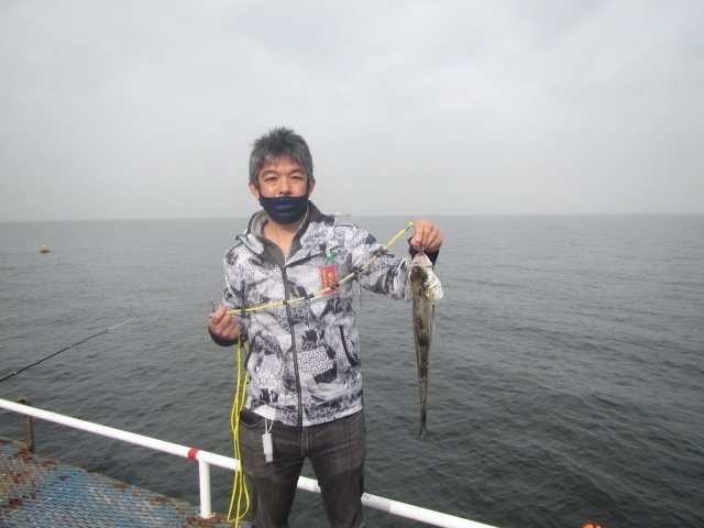 フッコ57cm 9匹 の釣果 21年3月30日 オリジナルメーカー海づり公園 千葉 千葉港 釣割