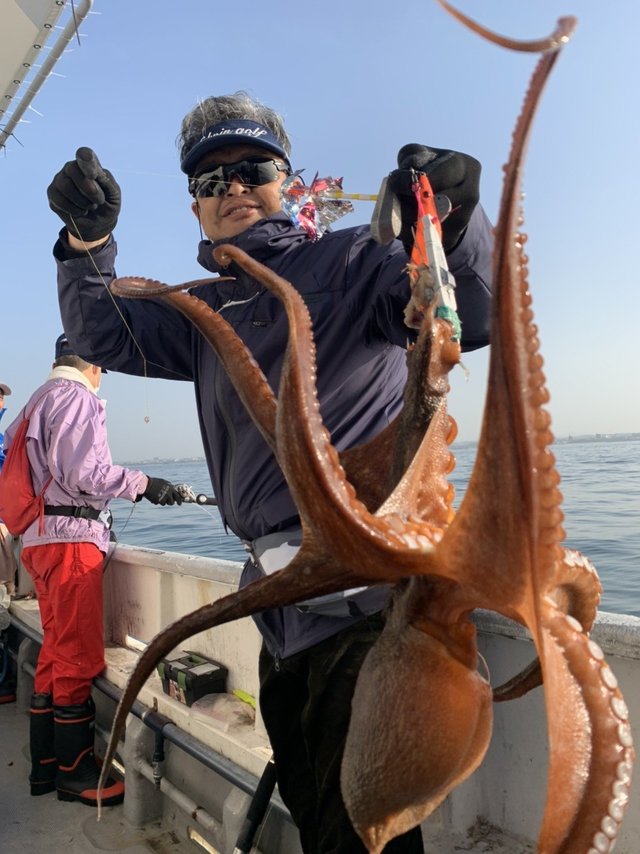 タコ2 50kg 7匹 の釣果 21年4月2日 釣り船 福三郎 兵庫 明石浦漁港 釣割