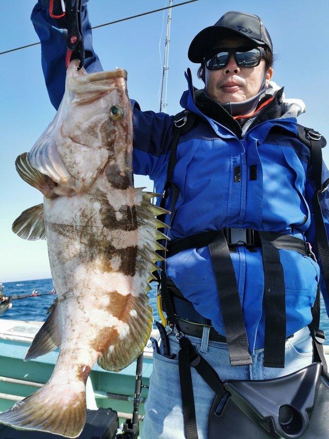 クエ の釣果 21年4月11日 海正丸 福岡 神湊港 釣り船予約 釣割
