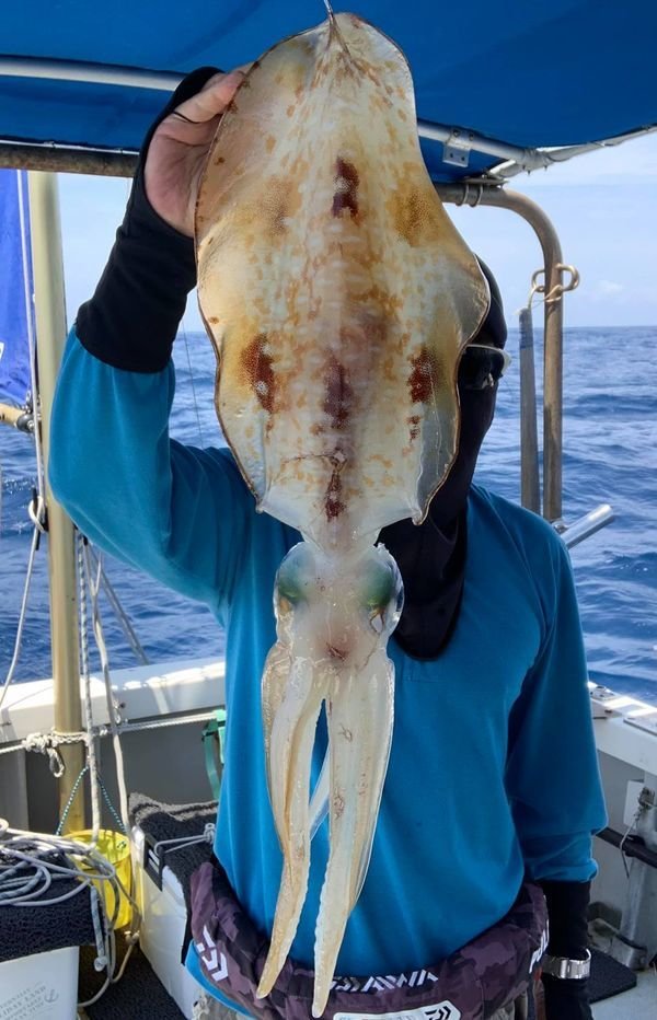 アオリイカ の釣果 21年4月28日 糸満フィッシングガイド 龍神丸 沖縄 糸満フィッシャリーナ 釣り船予約 釣割