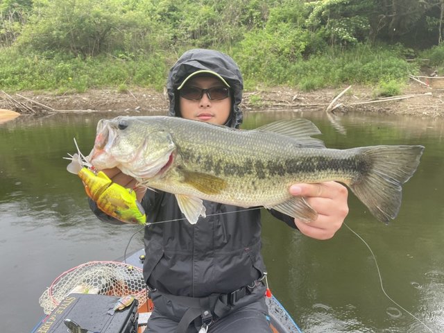ブラックバス45cm 9匹 の釣果 21年5月7日 ともえ 千葉 釣割