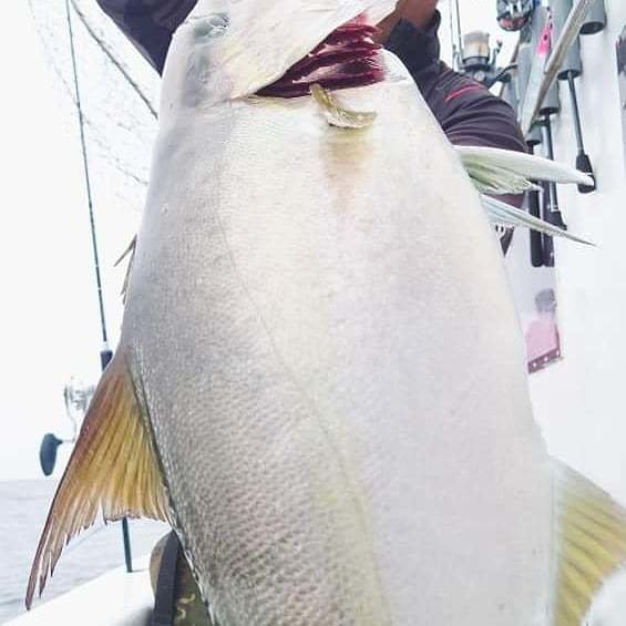 22年3月最新釣果 第8寿広丸 静岡県 の船釣り釣果情報